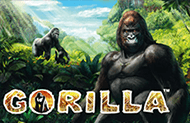 Играть в 777 автоматы Gorilla