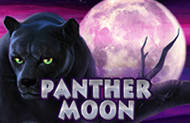 Panther Moon лучшие слоты онлайн