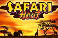 Safari Heat игровые аппараты с выводом денег