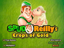 Spud O Reillys Crops Of Gold