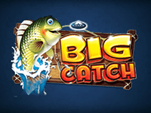 Доход от игрового аппарата Big Catch